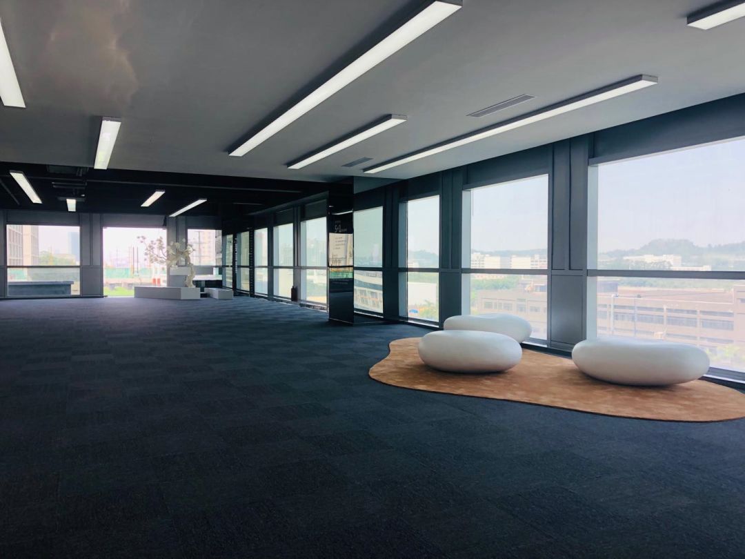 坪山发展潜力分析,坪山国家高新区