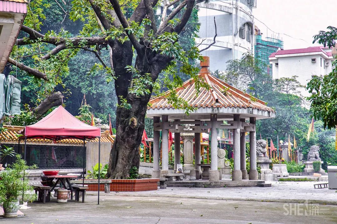 深圳30个经典片区,深圳这座城市承载了太多回忆