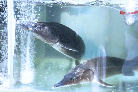 长沙最适合冬季去吃的招牌美味,冬天适合吃的美食长沙