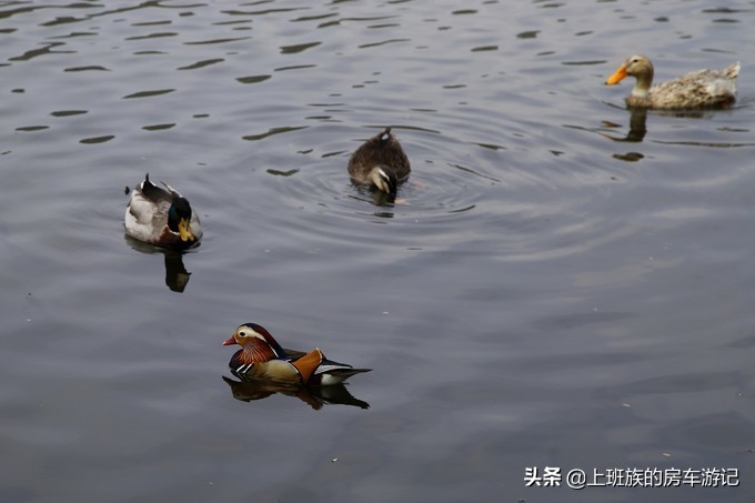 周末微旅行第一季,周末微旅行石湖