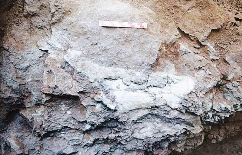 侏罗纪和白垩纪怎么灭绝的,为什么恐龙时代有白垩纪和侏罗纪