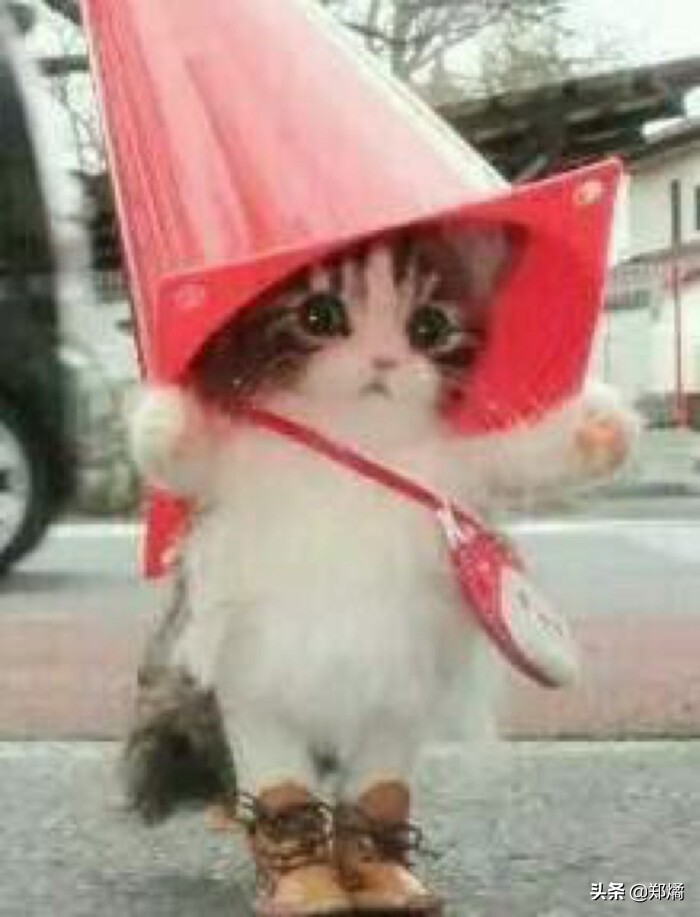 最经典的哲理超短笑话,超短超好笑的新笑话