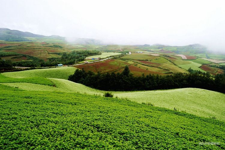 云南红土地景区秋天,这个秋天去云南玩