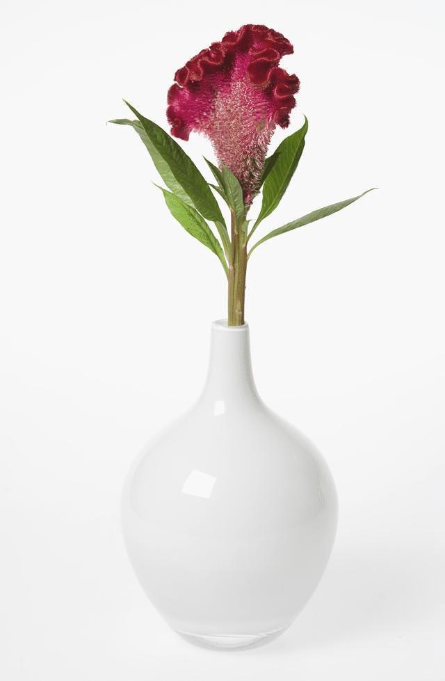 趣味测试选择一朵花,趣味测试选一种玫瑰花测试性格