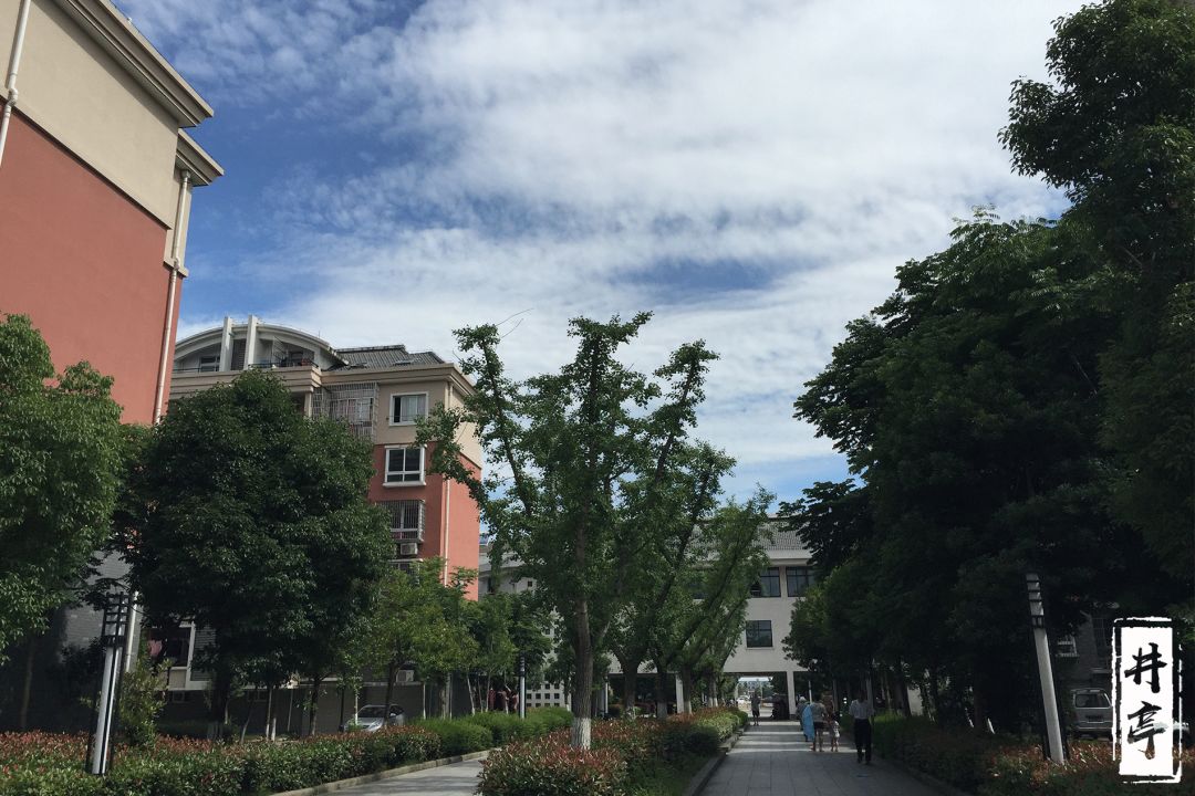 井亭社区服务中心,井亭家园改造