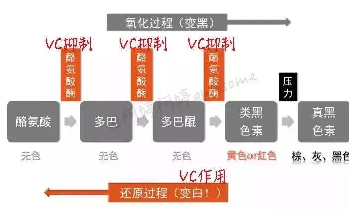 小红书安利翻车文章,小红书翻车全集