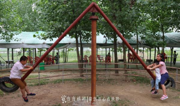 十堰六里坪小蚂蚁农场,十堰小蚂蚁生态庄园