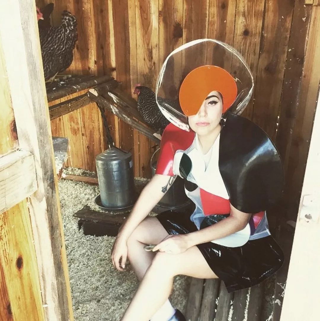 抖森三年没换鞋？LadyGaga豪宅养鸡？为了省钱简直丧心病狂......