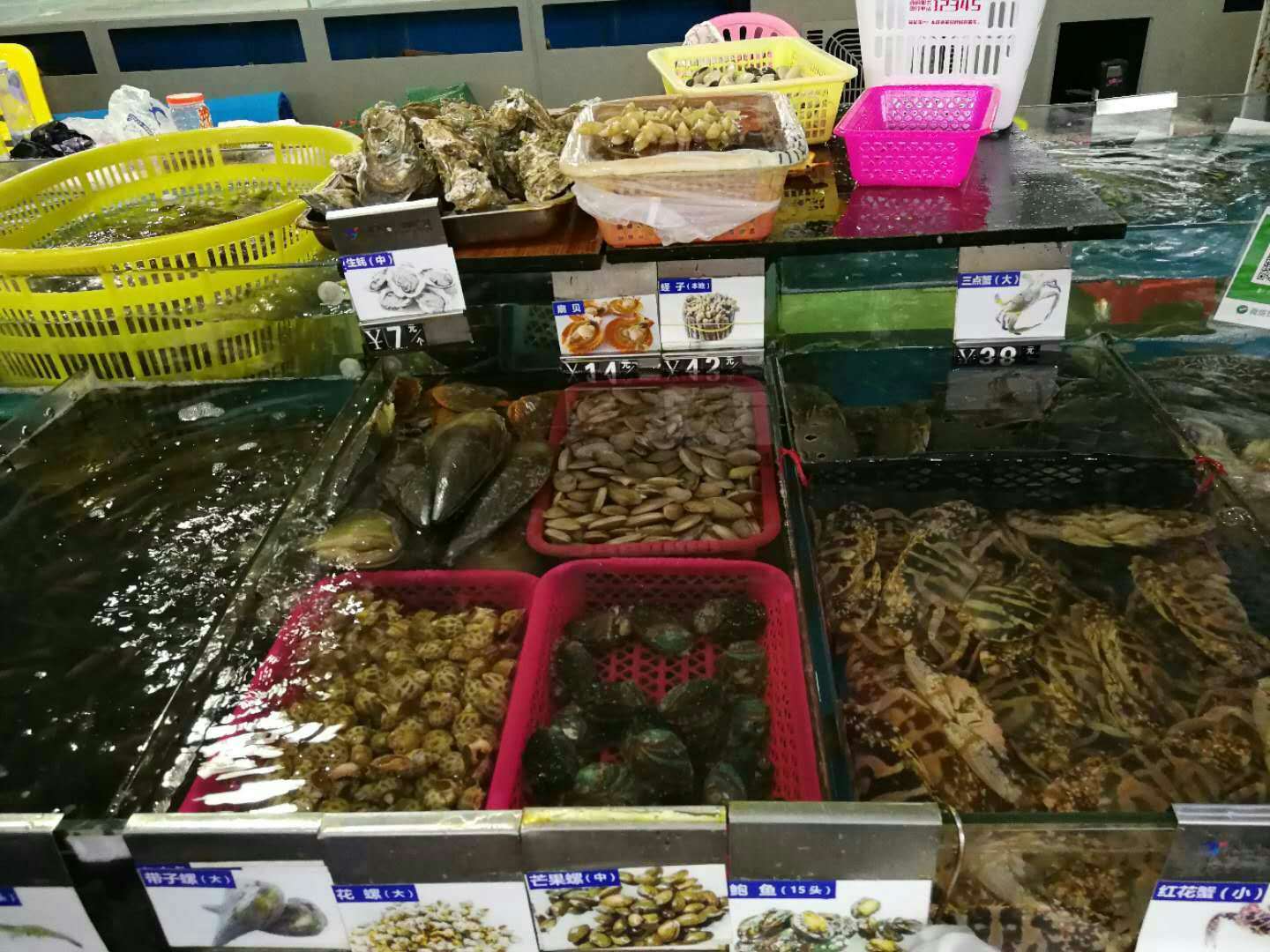 海南五日游之旅之海口,一起去海南玩的地方