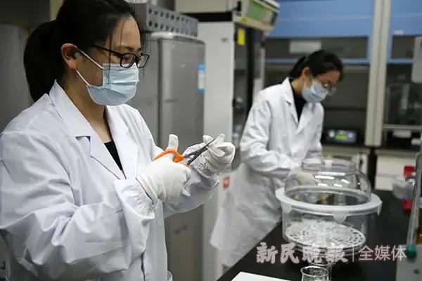 进口食品抽检不合格怎么处罚,海关抽查出口产品不合格怎么处理
