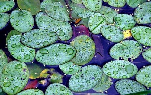 她身患癌症,35岁患上癌症她不远千里北上求医