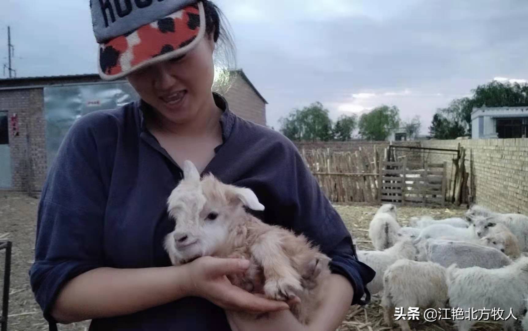 靠养殖到底能不能致富?江艳实话实说,再听听她的致富经