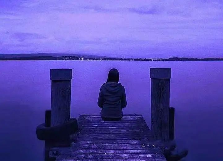 失去刺猬的刺,当刺猬没有刺的时候