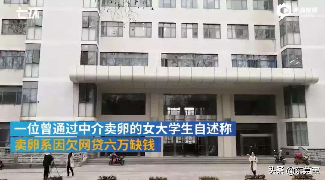 不打麻药，穿刺下身，一次5万，被捧在手心的女孩，正在贱卖自己