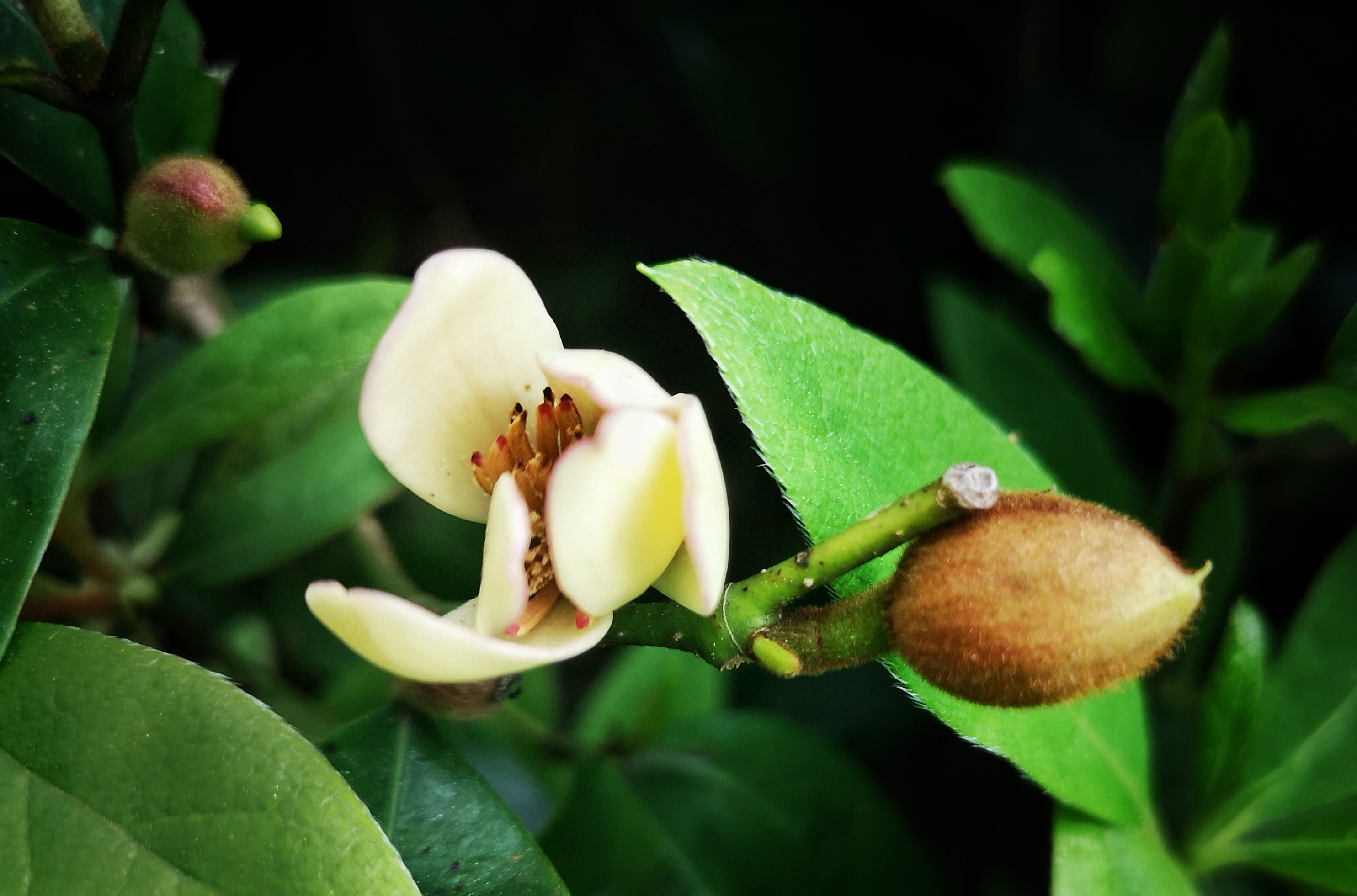 寻找身边的美丽身影,寻找身边美丽景色