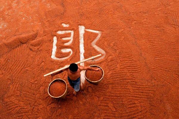 郎酒和茅台味道有什么区别,与茅台并列的两种酒