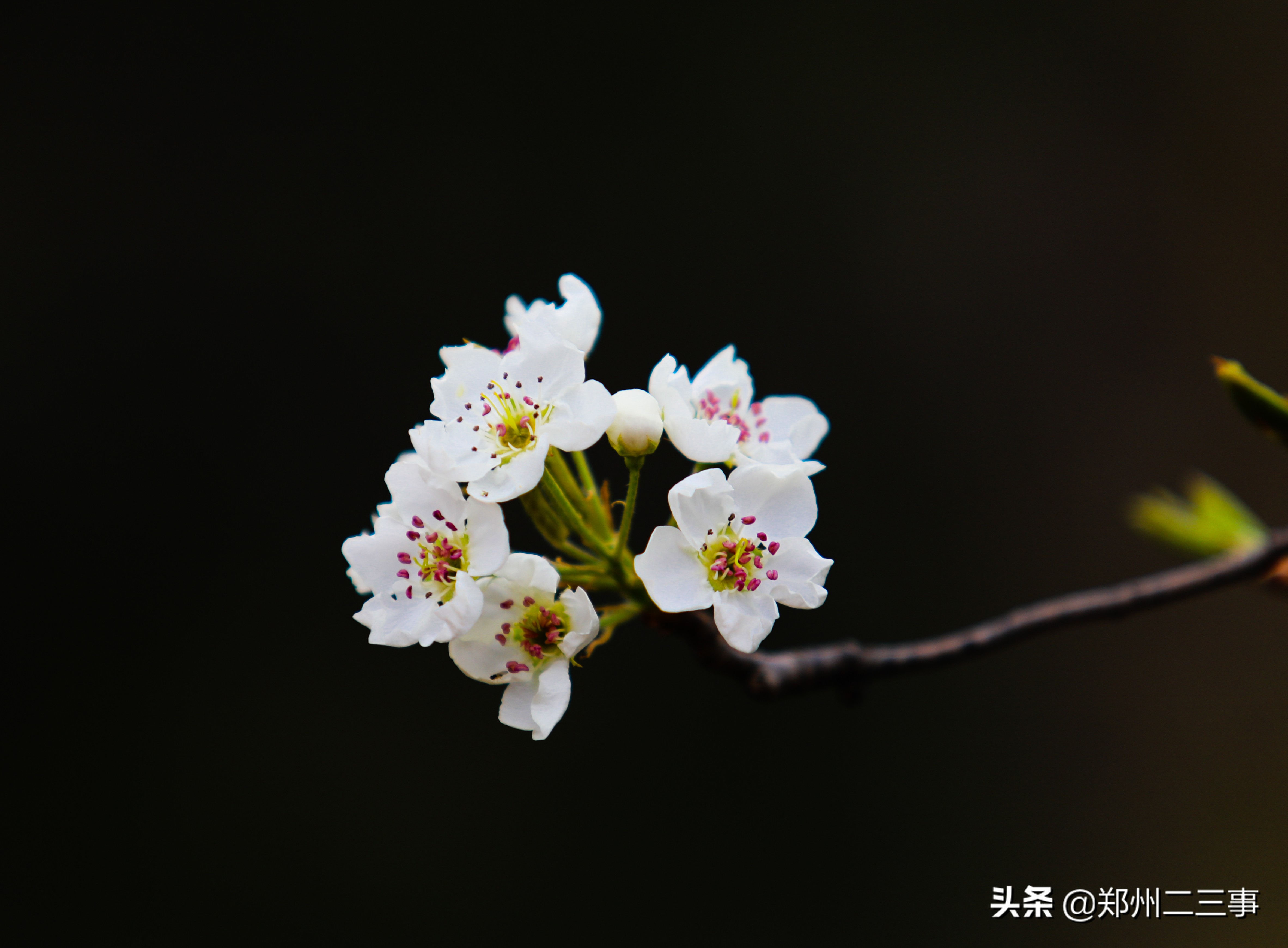 郑州惠济区免费遛娃好去处植物园,郑州遛娃踏青好去处