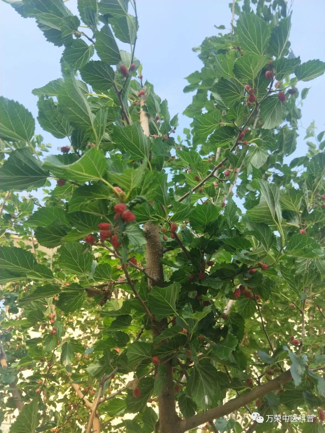 跟我回家在线免费看,跟我回家免费看