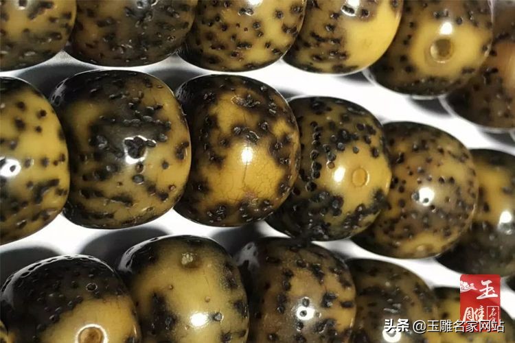 星月菩提阴皮是什么样,阴皮菩提和星月菩提哪个好