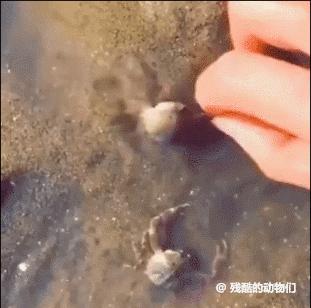 搞笑gif开心一刻满满的正能量,搞笑gif开心每一天