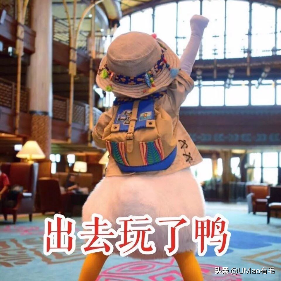 上门喂猫到底怎么样,上门喂猫一般多久一次