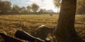 猎人荒野的呼唤十字弓在哪个dlc,猎人荒野的呼唤epic和steam互通吗