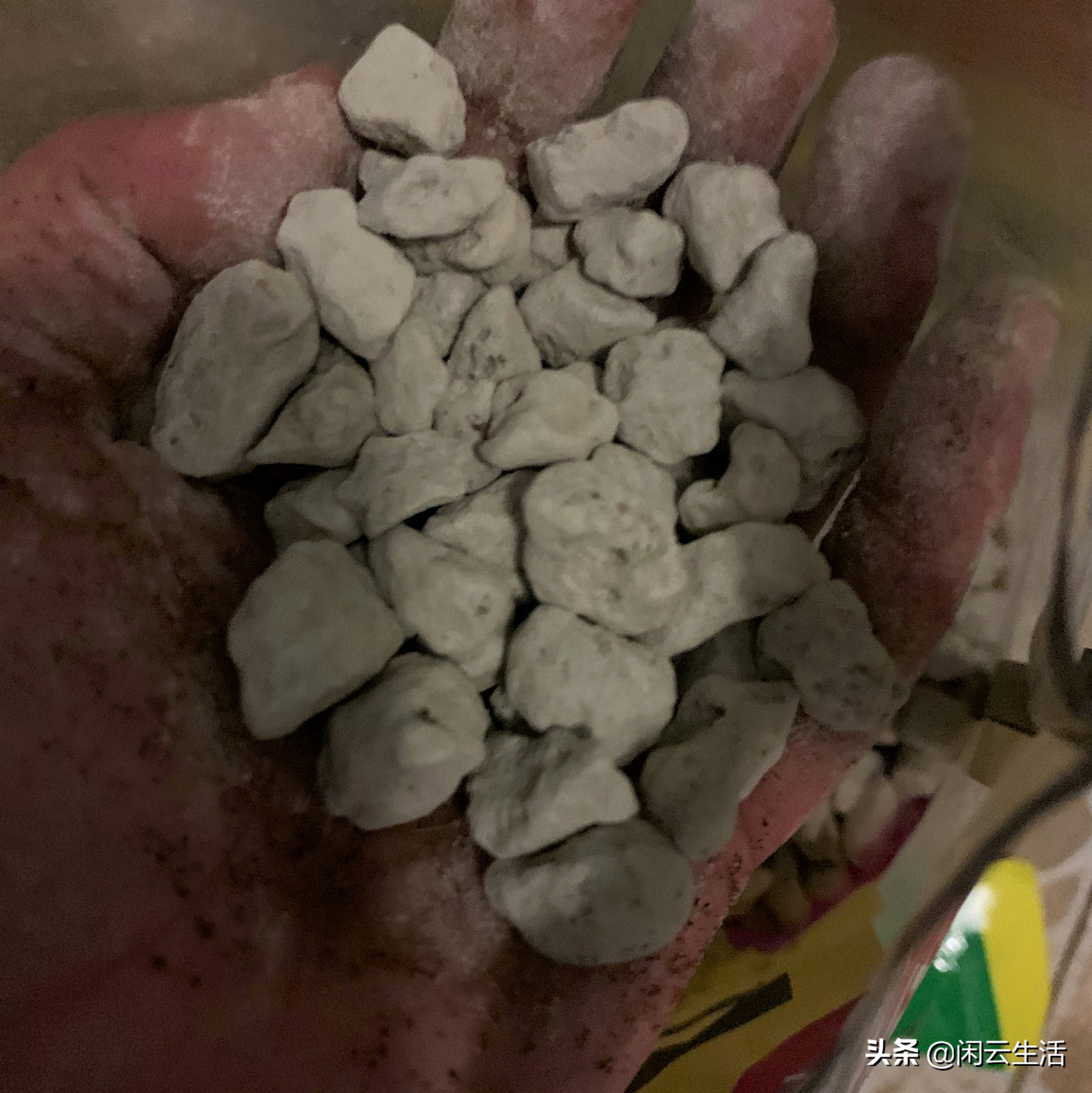 还在买几块钱包邮的营养土吗?快停止吧!——室内植物配土说明