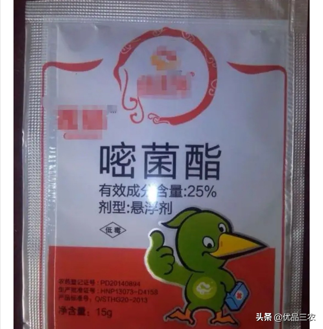 辣椒炭疽病的特效药都在这里了，你以前用对了吗？
