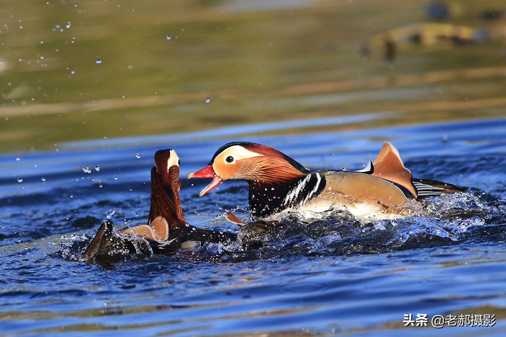 冲冠一怒为红颜讲的是谁,冲冠一怒为红颜的故事