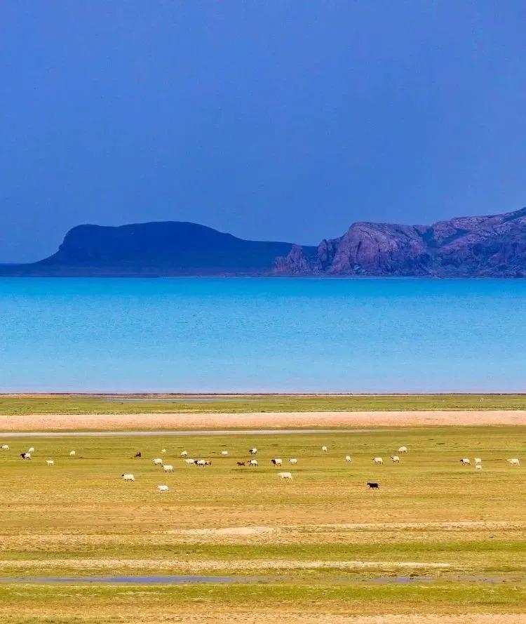 那曲锅庄舞,那曲鞋子店