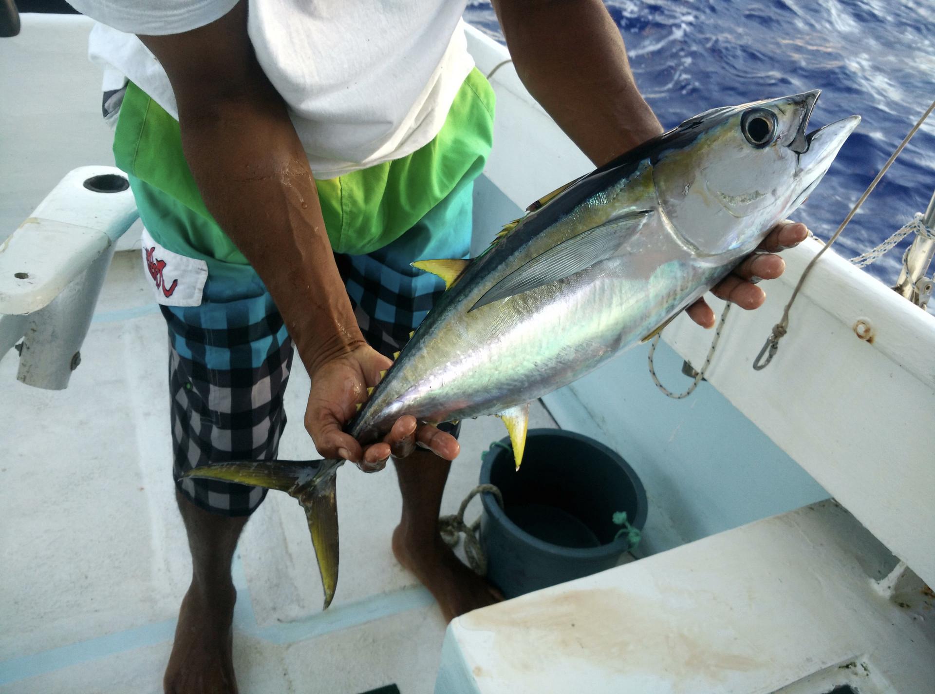 新手路亚钓怎么选择钓竿,路亚滑漂钓法路亚竿选择