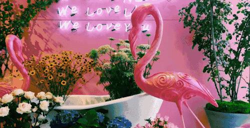 郑州非常爆火的网红店,郑州网红店老字号