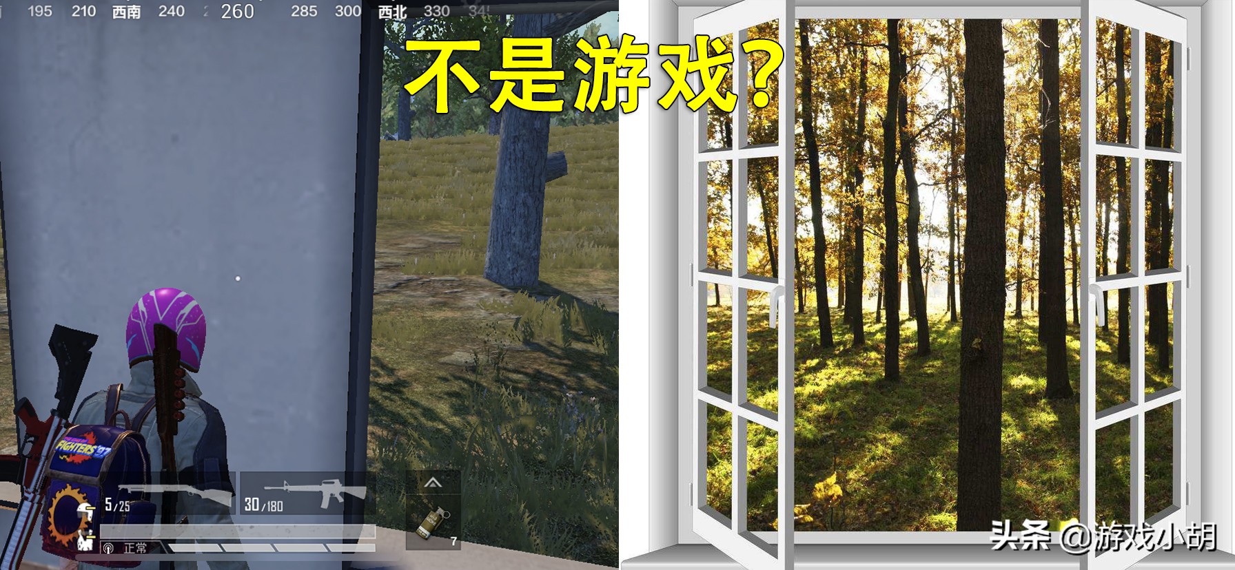 吃鸡玩游戏看c盘吗,吃鸡游戏大家都不打枪会怎样