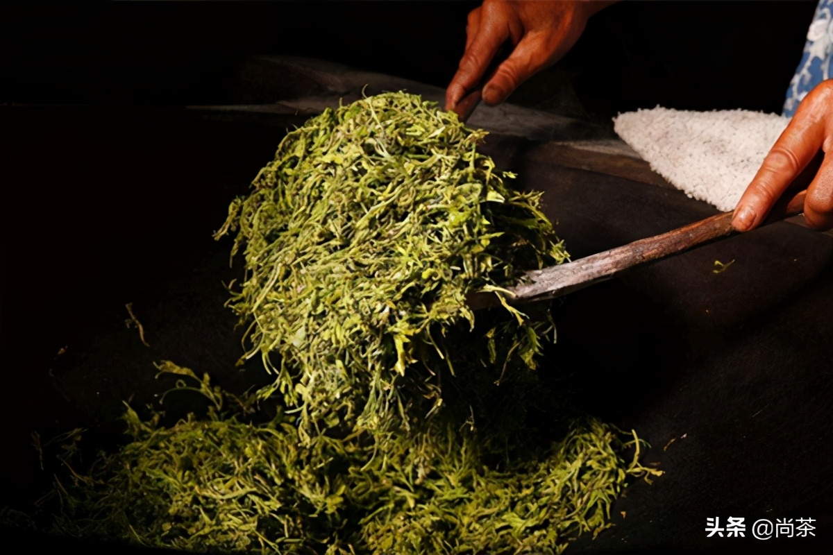 龙须茶大名叫什么茶好听,龙须茶是什么茶种