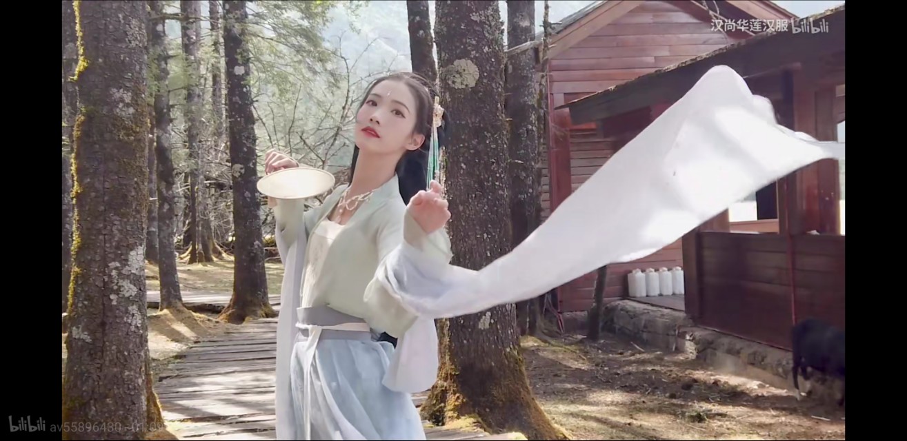 汉尚华莲的十里小姐姐好美啊