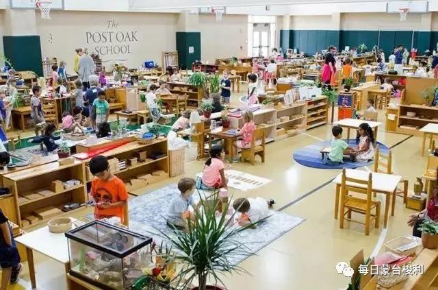 蒙台梭利教育的十大特点,蒙台梭利教育在中国的发展趋势