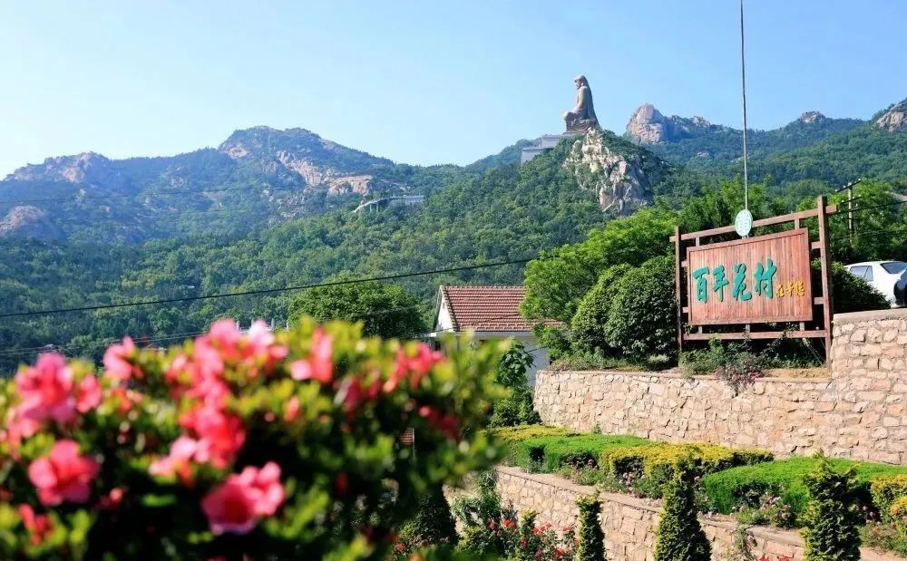 种草一个被遗忘的小岛，背山靠海，拥有山东最美的“童话屋”，美到窒息！