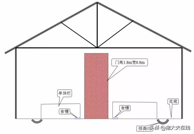 养猪猪舍设计建造,养猪最好的猪舍建造方法