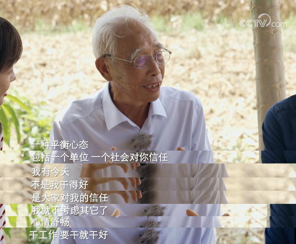 现中国顶流男团是哪个,中国男团的顶流