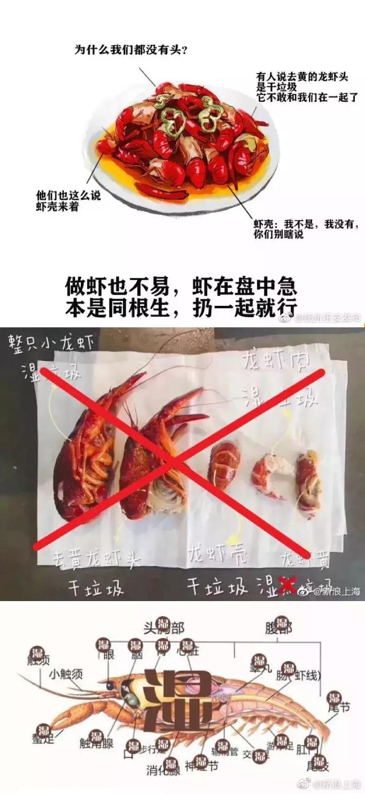 为什么美国不回收纸皮,美国垃圾回收