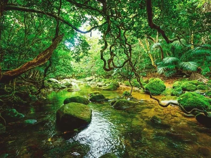 冲绳有啥,冲绳有没有啥