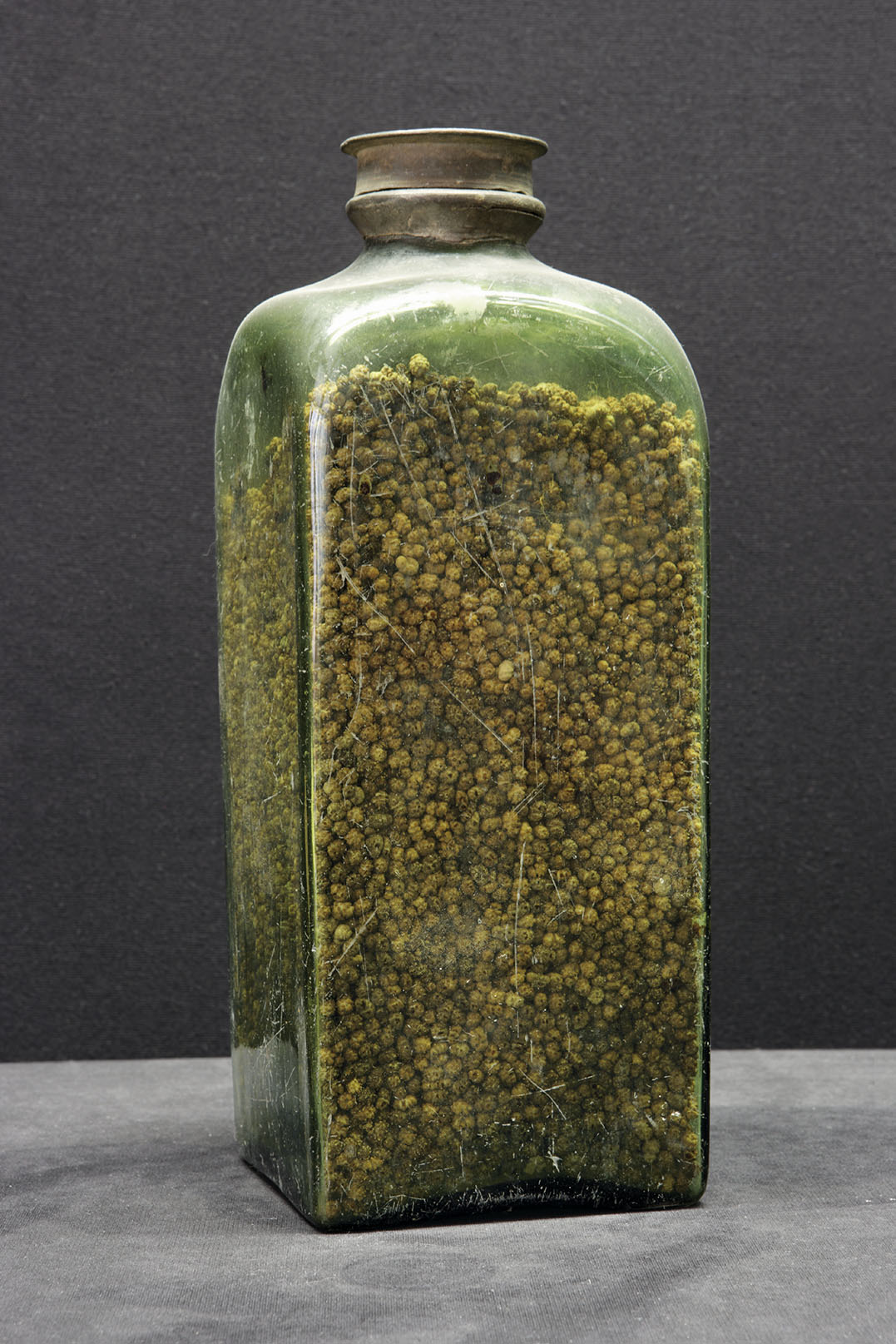 西洋医生,西洋医生全部视频