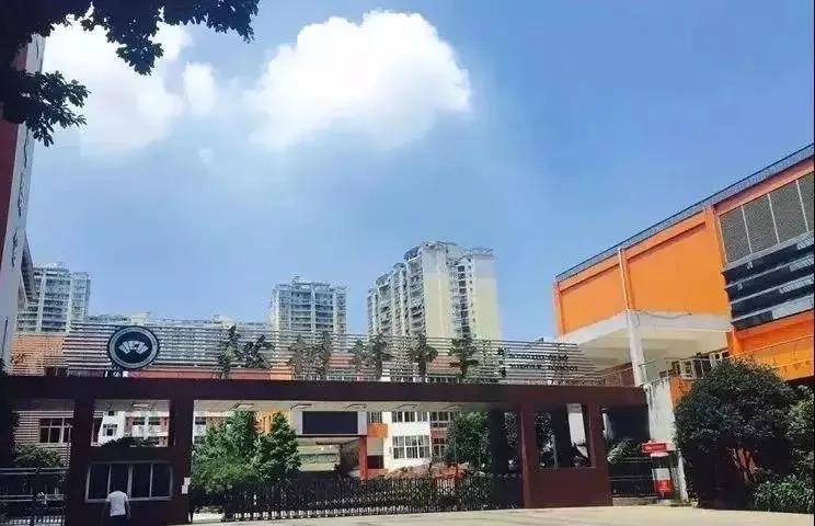 重庆巴南中学是重庆市重点中学吗,重庆市主城中学梯队排序