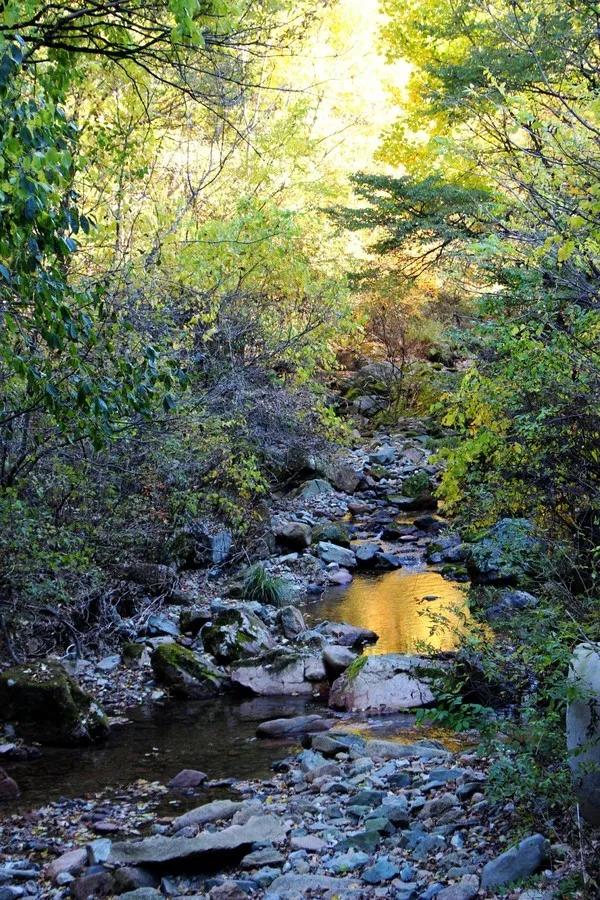 辽宁本溪度假精品民宿,本溪水洞自由行民宿