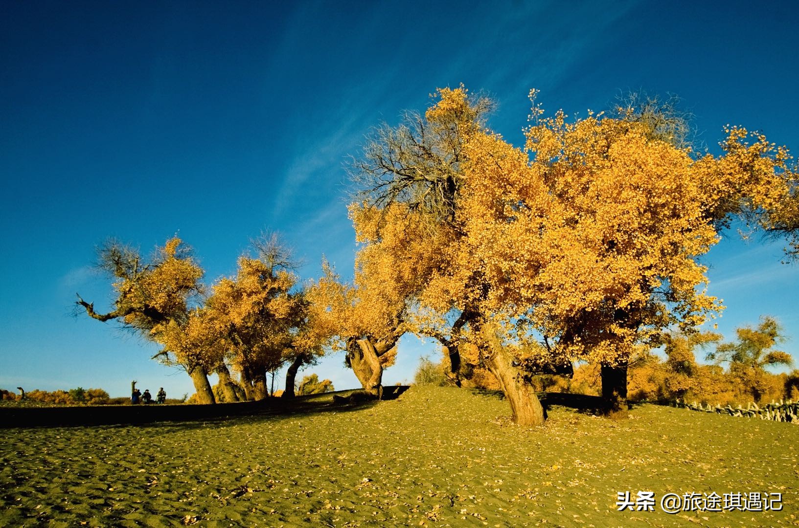 去了北疆还要去南疆吗,现在去南疆还是北疆好