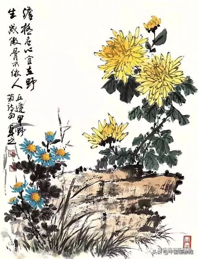 菊花花头花苞画法,菊花花头的画法步骤图片