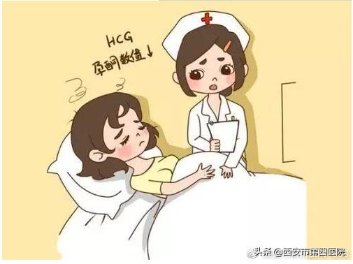 hcg雌二醇孕酮之间的关系,hcg与孕酮雌二醇的关系