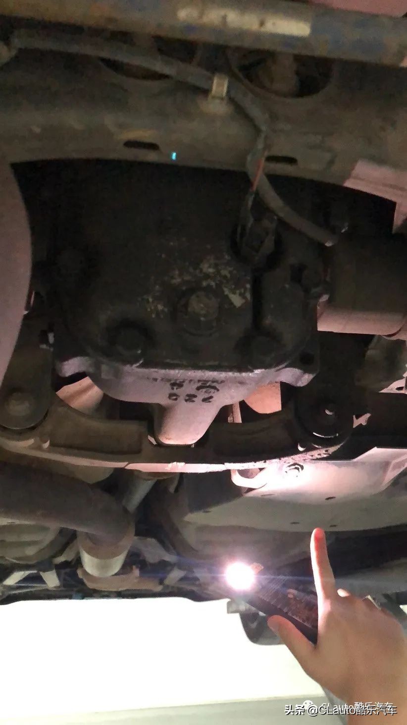 ​近乎残疾，不忍直视|流浪豹STI收养记Vol.01