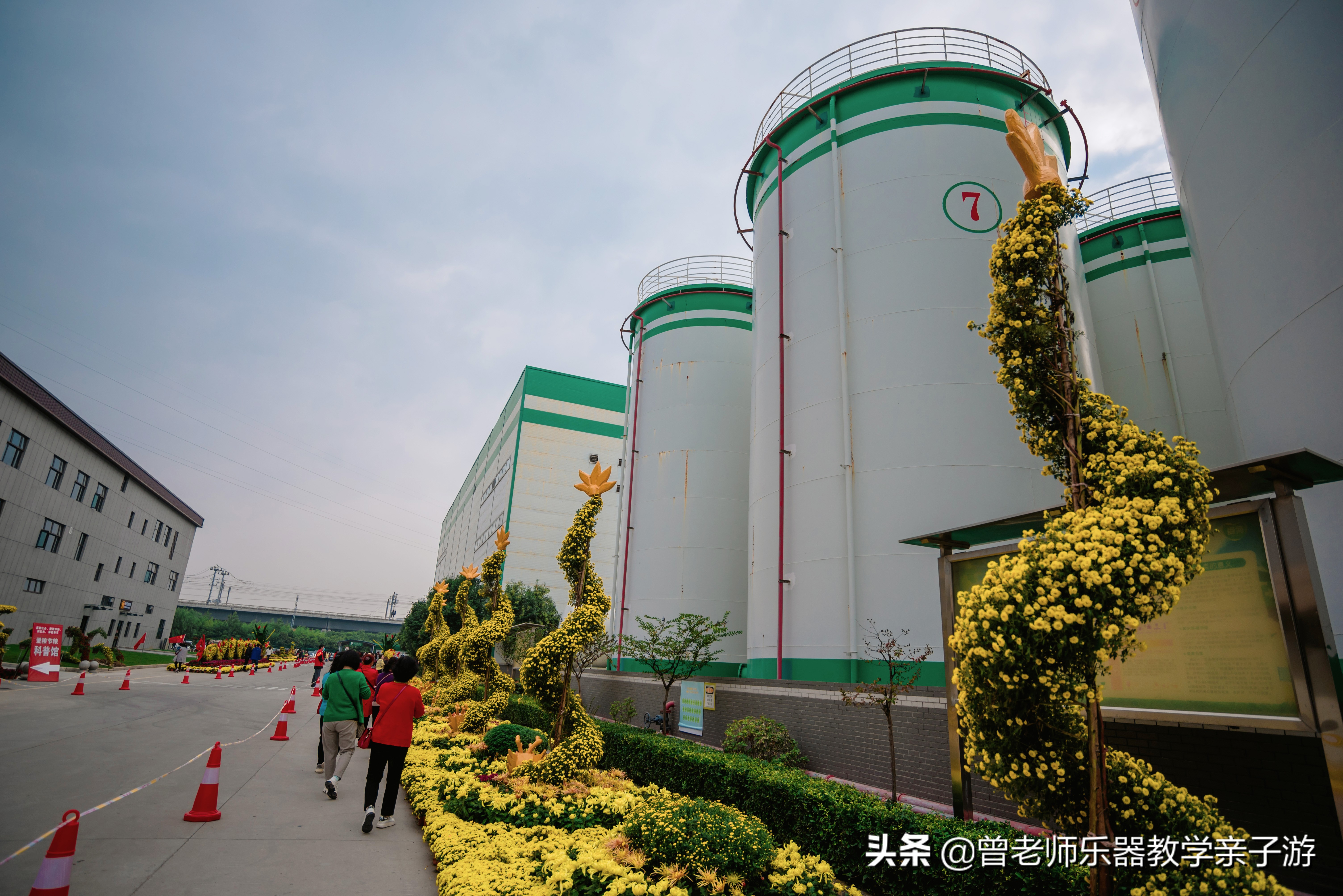 爱菊研学游,爱菊丝路文化菊花园西安