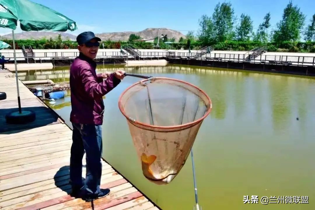 五一假日攻略西固,五一假日攻略兰州西固周边